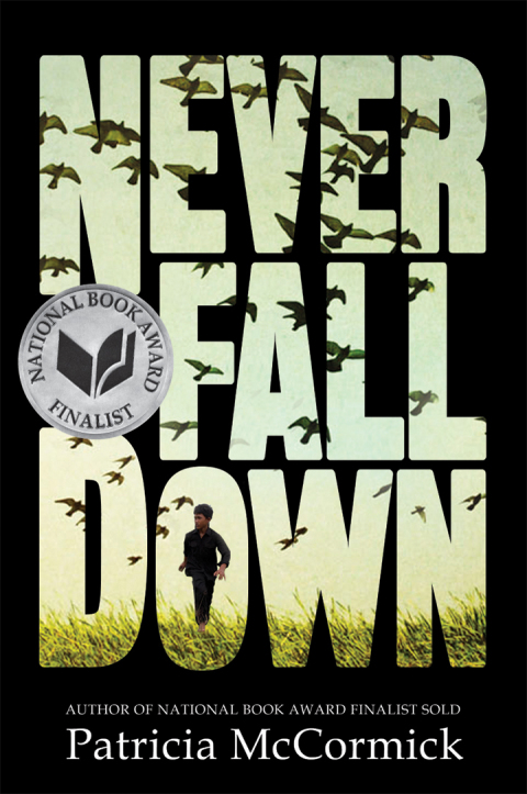 Book Never Fall Down: A Novel free