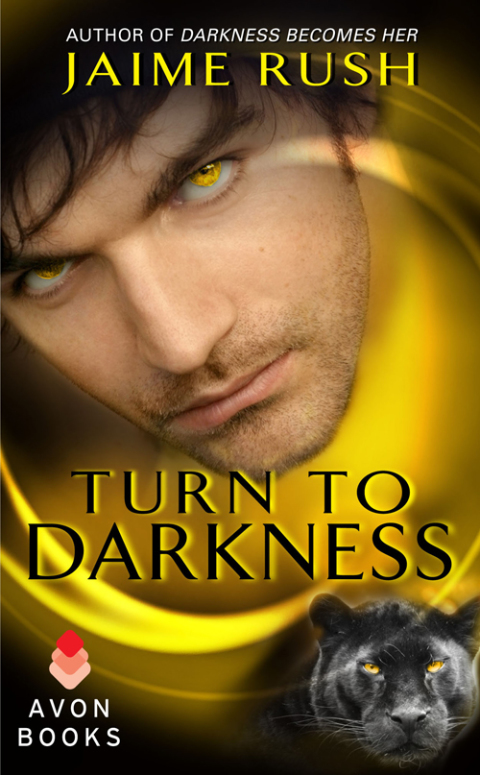 Book Turn to Darkness free