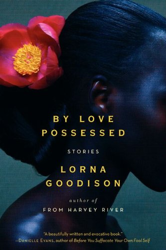 Book By Love Possessed: Stories free