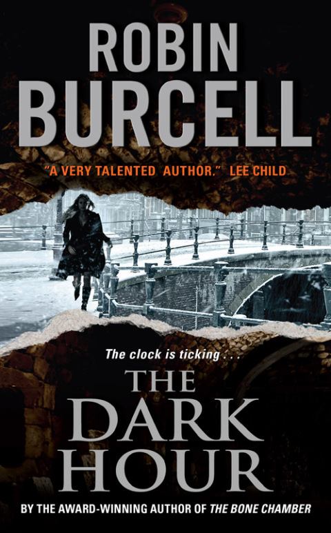 Book The Dark Hour (Sidney Fitzpatrick Book 3) free