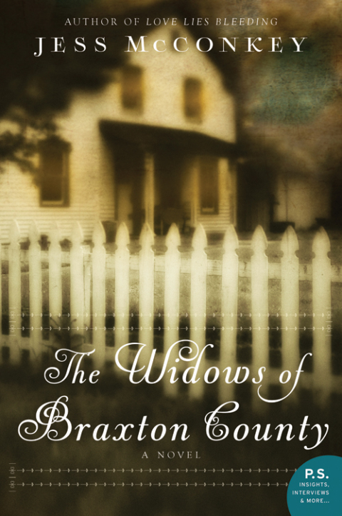 Book The Widows of Braxton County: A Novel (P.S.) free