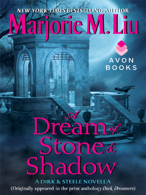 Book A Dream of Stone & Shadow: A Dirk & Steele Novella free