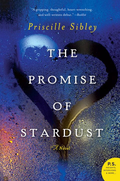 Book The Promise of Stardust: A Novel free