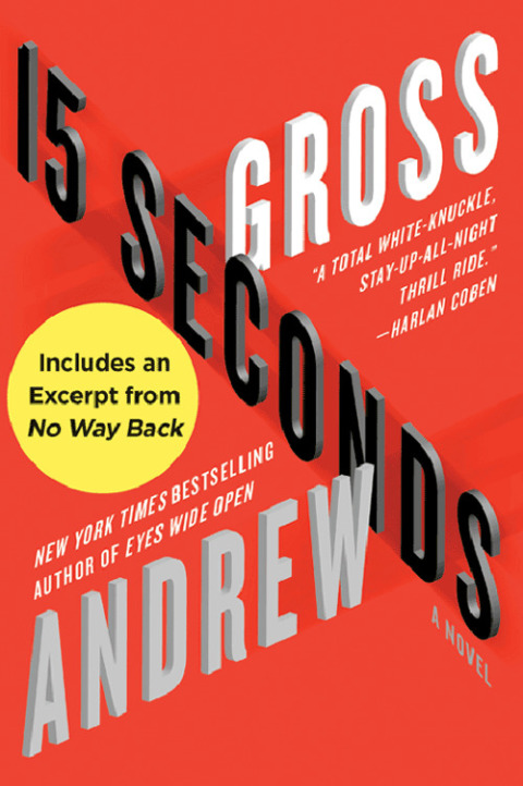 Book 15 Seconds: A Novel free