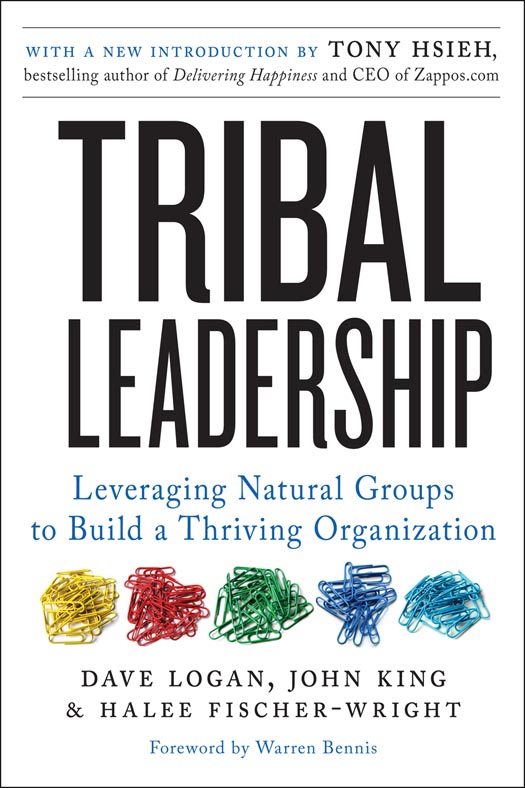 Book Tribal Leadership Revised Edition: Leveraging Natural Groups to Build a Thriving Organization free