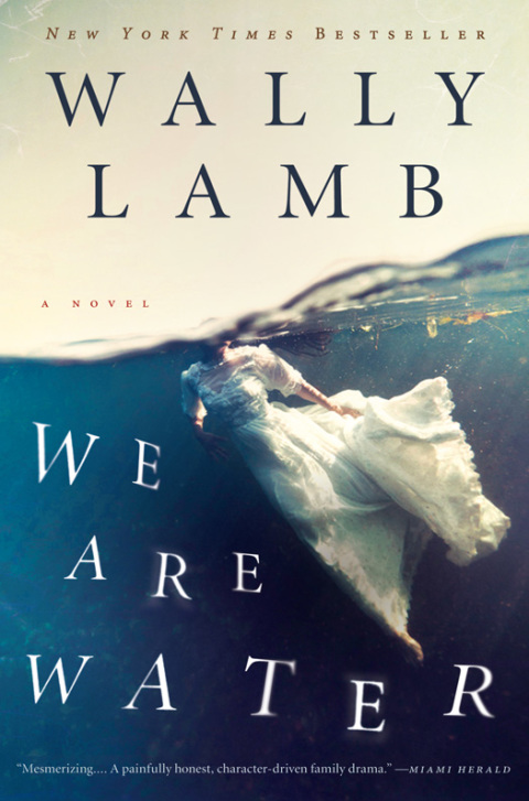 Book We Are Water: A Novel (P.S.) free