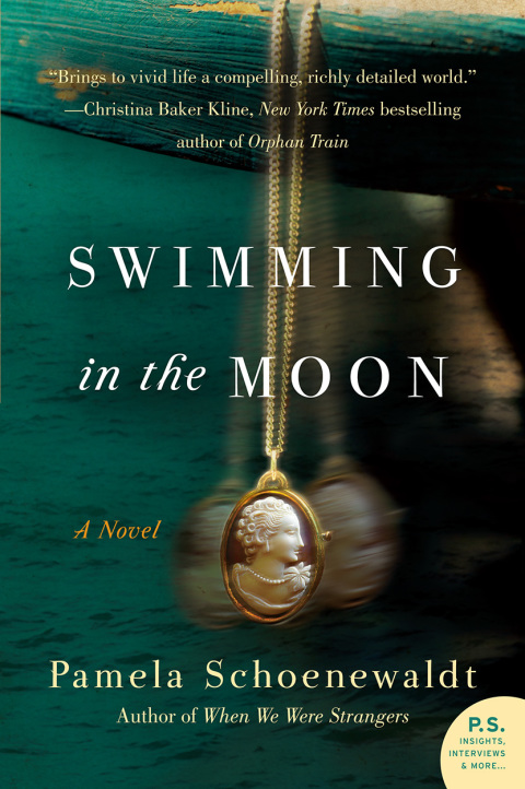Book Swimming in the Moon: A Novel free
