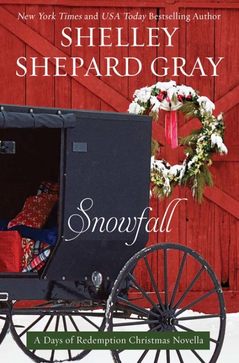 Book Snowfall: A Days of Redemption Christmas Novella (Days of Redemption Series Book 4) free