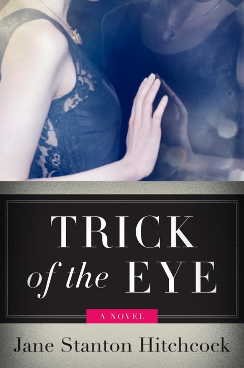 Book Trick of the Eye: A Novel free