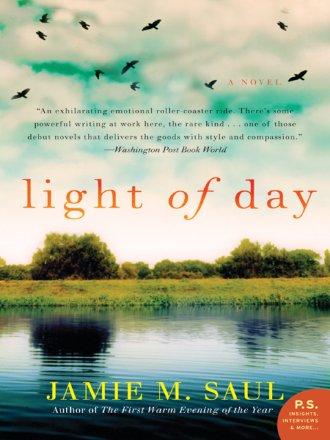 Book Light of Day: A Novel free
