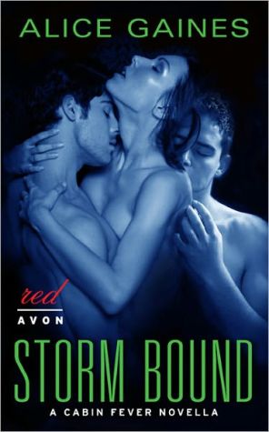 Book Storm Bound free