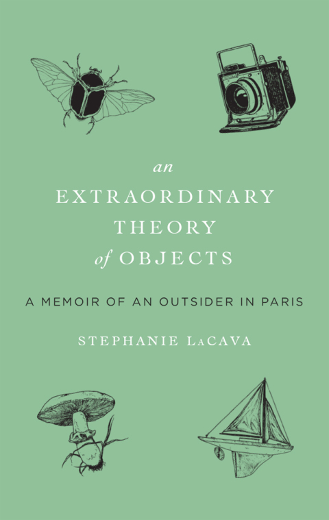 Book Extraordinary Theory of Objects: A Memoir of an Outsider in Paris free