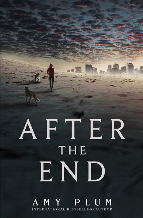 Book After the End free