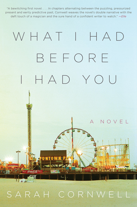 Book What I Had Before I Had You: A Novel free