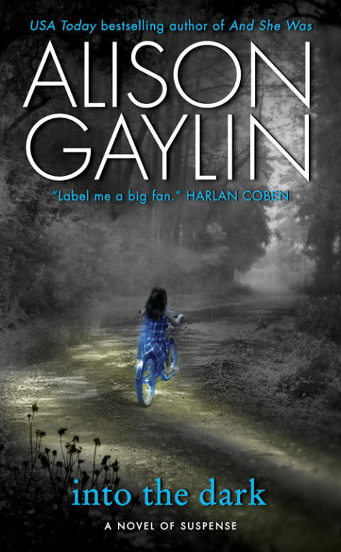 Book Into the Dark: A Novel of Suspense (Brenna Spector Novel Book 2) free