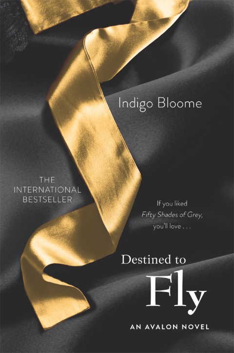 Book Destined to Fly free