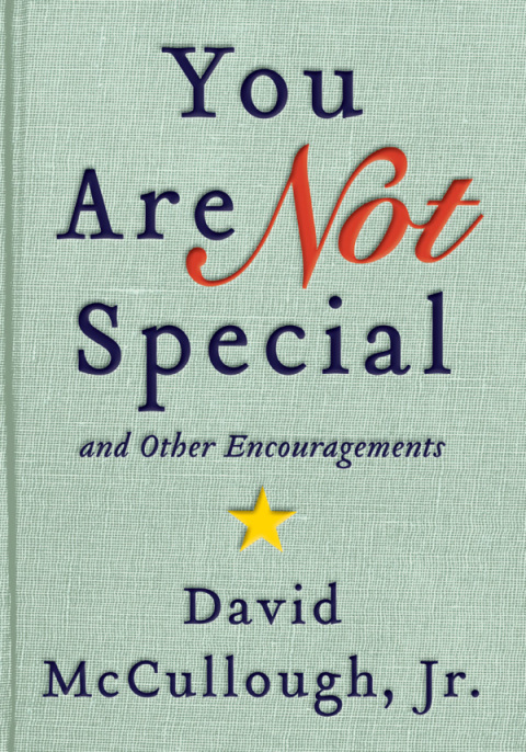Book You Are Not Special: … And Other Encouragements free