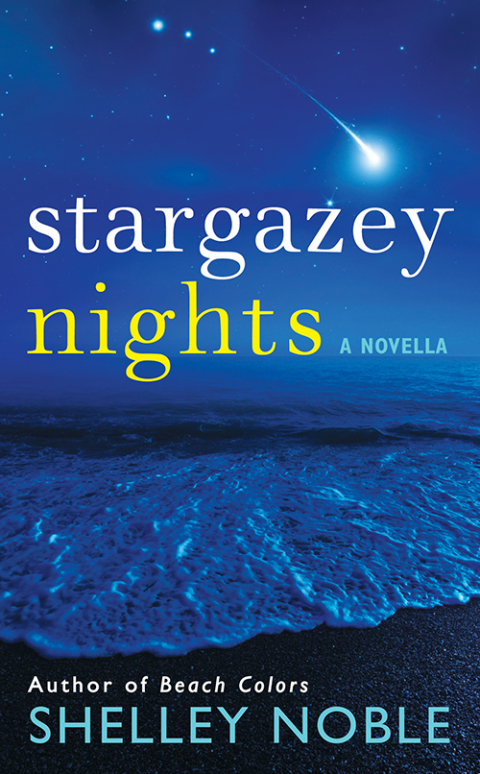 Book Stargazey Nights: A Novella (A Stargazey Point Novella Book 1) free