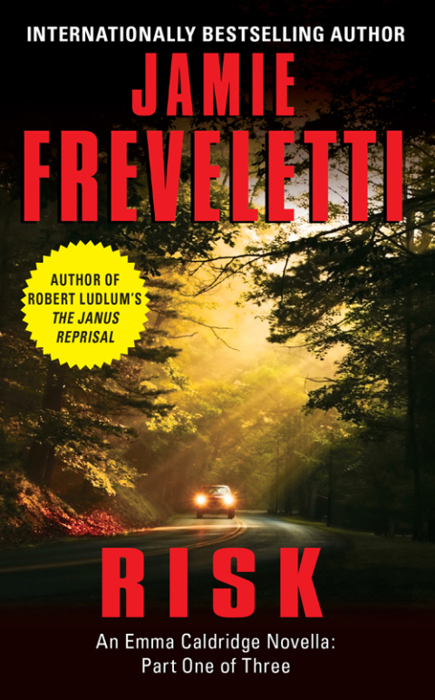 Book Risk: An Emma Caldridge Novella: Part One of Three free