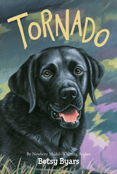 Book Tornado (Trophy Chapter Books (Paperback)) free