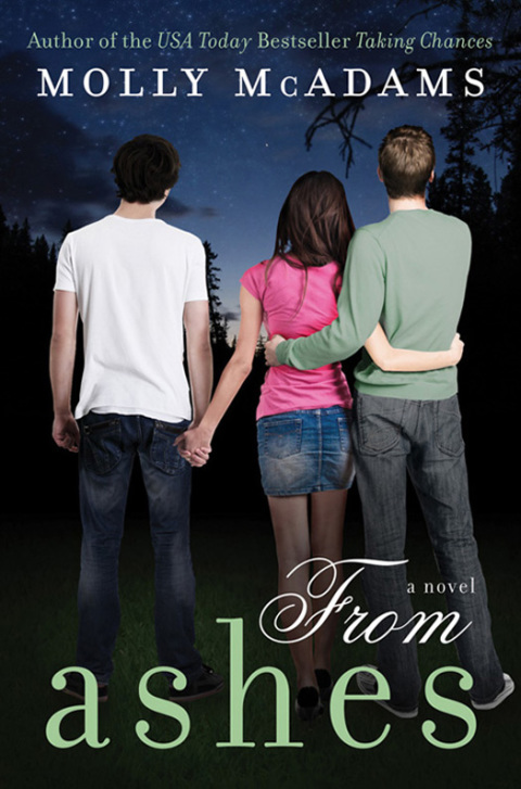 Book From Ashes free