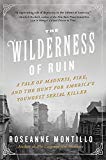 Book The Wilderness of Ruin: A Tale of Madness, Fire, and the Hunt for America's Youngest Serial Killer free
