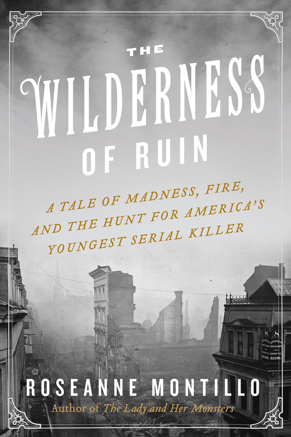 Book The Wilderness of Ruin: A Tale of Madness, Fire, and the Hunt for America's Youngest Serial Killer free