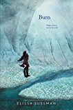Book Burn (Stray, 2) free