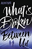 Book What's Broken Between Us free