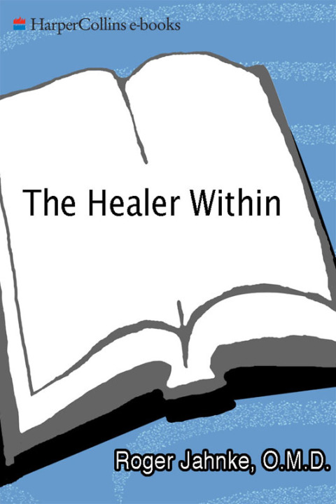 Book The Healer Within: Using Traditional Chinese Techniques To Release Your Body's Own Medicine *Movement *Massage *Meditation *Breathing free