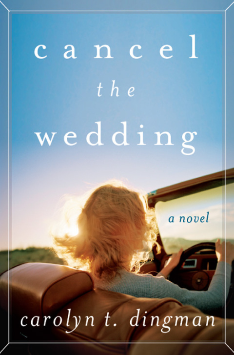 Book Cancel the Wedding: A Novel free
