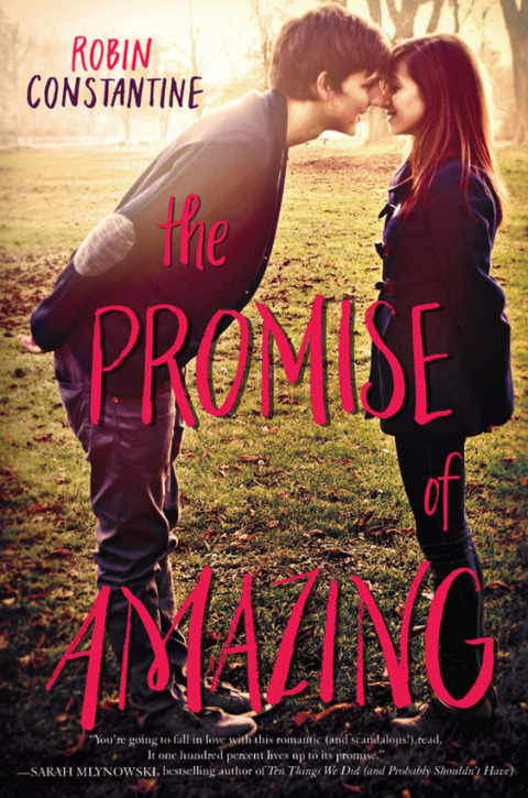 Book The Promise of Amazing free