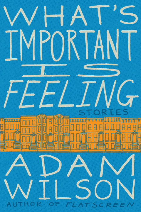 Book What's Important Is Feeling: Stories free