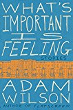 Book What's Important Is Feeling: Stories free