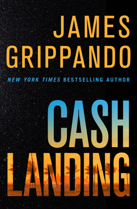 Book Cash Landing: A Novel free
