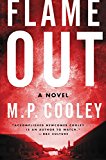 Book Flame Out: A Novel (The June Lyons Series) free