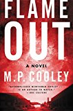 Book Flame Out: A Novel (The June Lyons Series, 2) free