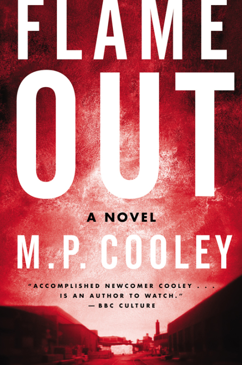 Book Flame Out: A Novel (The June Lyons Series Book 2) free