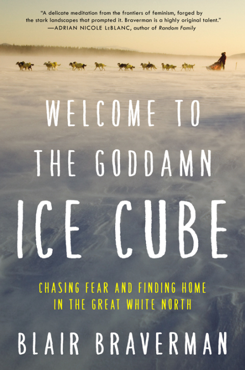 Book Welcome to the Goddamn Ice Cube free