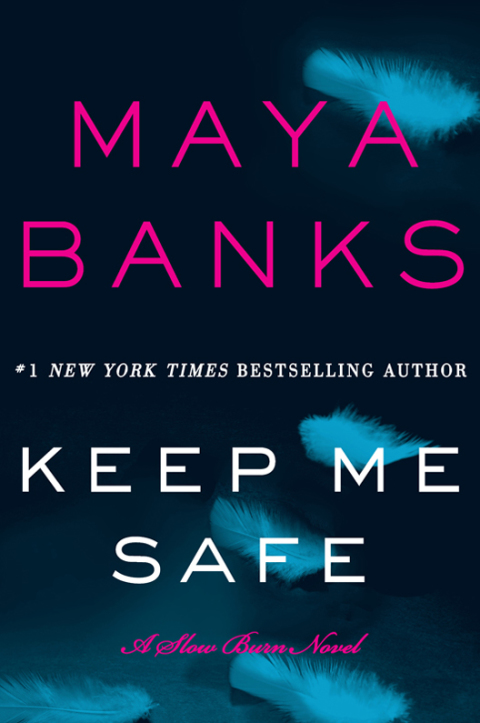 Book Keep Me Safe: A Slow Burn Novel (Slow Burn Novels Book 1) free