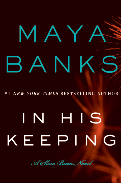 Book In His Keeping: A Slow Burn Novel (Slow Burn Novels Book 2) free
