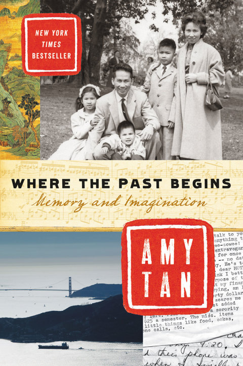 Book Where the Past Begins: Memory and Imagination free