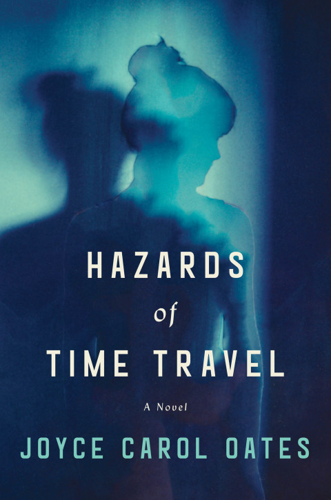 Book Hazards of Time Travel: A Novel free