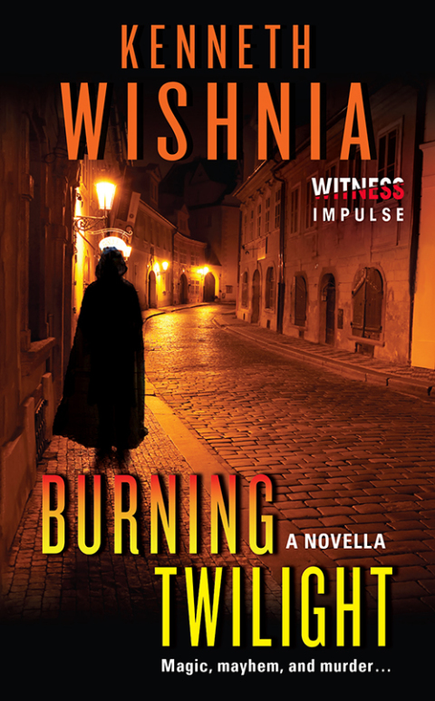 Book Burning Twilight: A Novella free