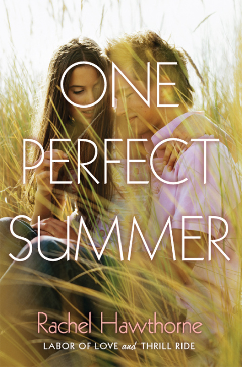 Book One Perfect Summer: Labor of Love and Thrill Ride free