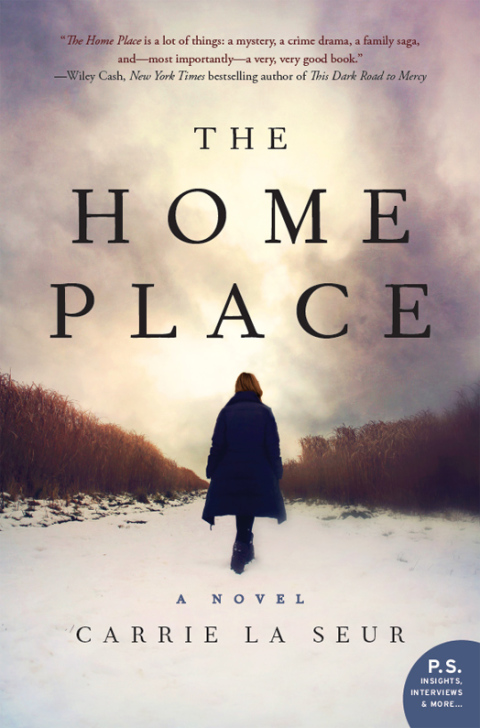Book The Home Place: A Novel free