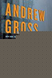 Book Everything to Lose: A Novel free
