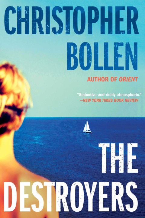 Book The Destroyers: A Novel free