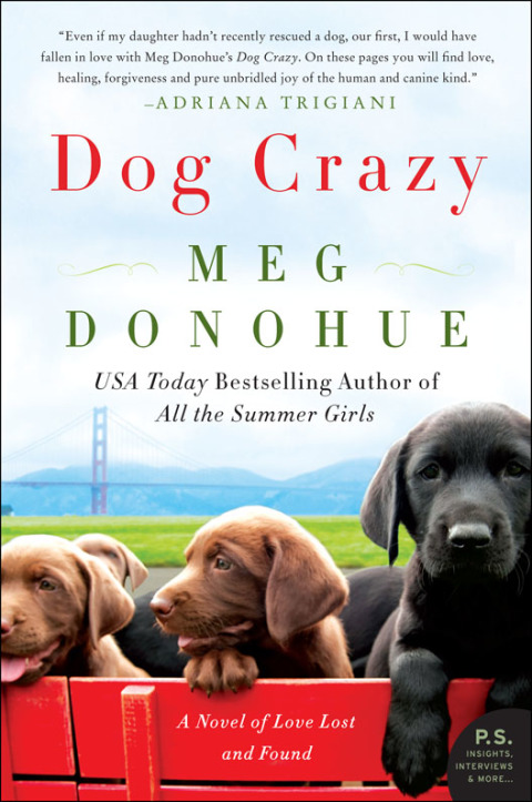 Book Dog Crazy: A Novel of Love Lost and Found free Book Dog Crazy: A Novel of Love Lost and Found free