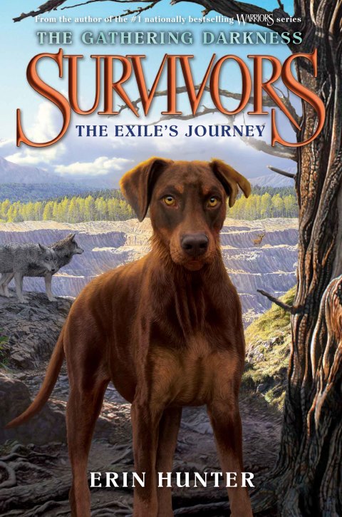Book Survivors: The Gathering Darkness #5: The Exile's Journey free